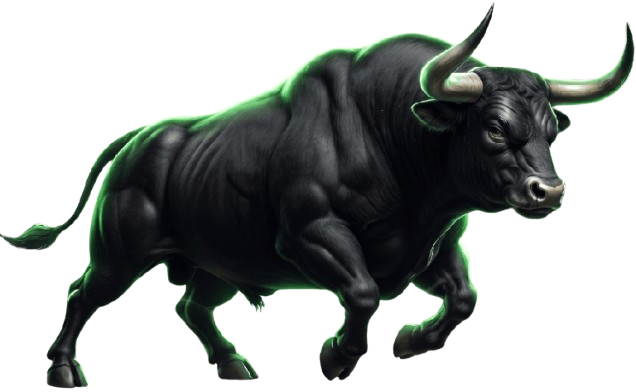 Bull
